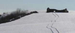 La bergerie